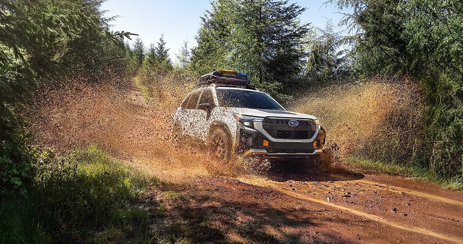What Makes the 2026 Subaru Forester Wilderness So Capable?