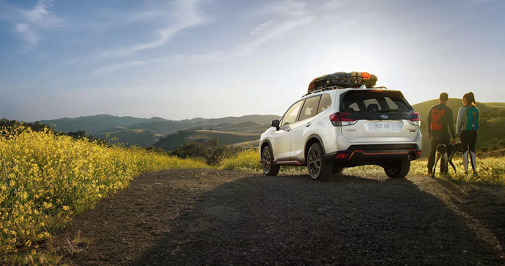 What Makes Subaru a Leader In Safety