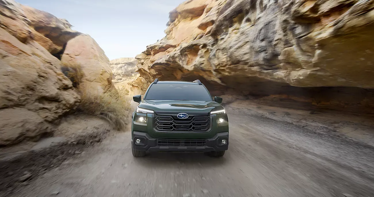 What Pet Accessories Can You Add to the Subaru Outback?