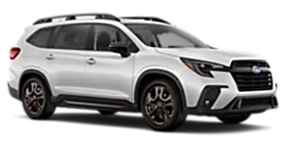 What Makes the Ascent Limited Bronze Edition So Distinct?