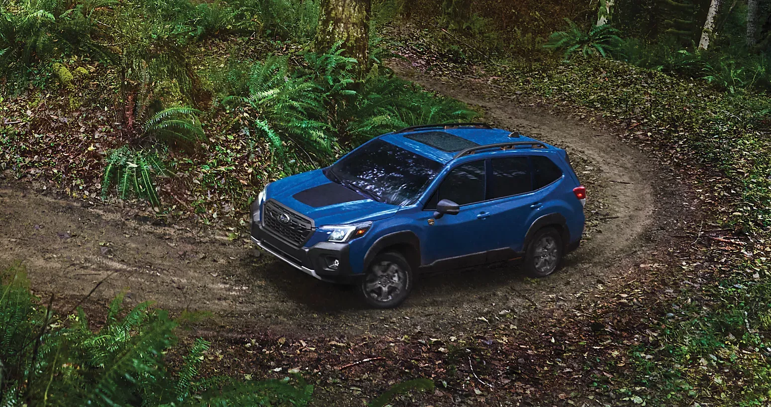Does the Subaru Forester Have an Off-Road Model?
