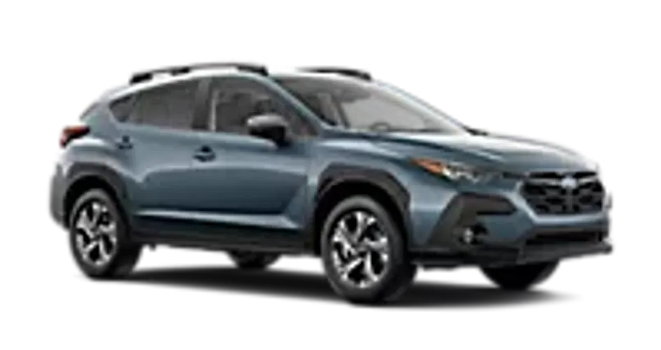 What are the Features of the Premium Trim?