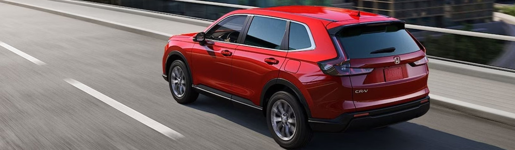 ¿Necesitas un carro nuevo? ¡Habla con nuestro equipo!