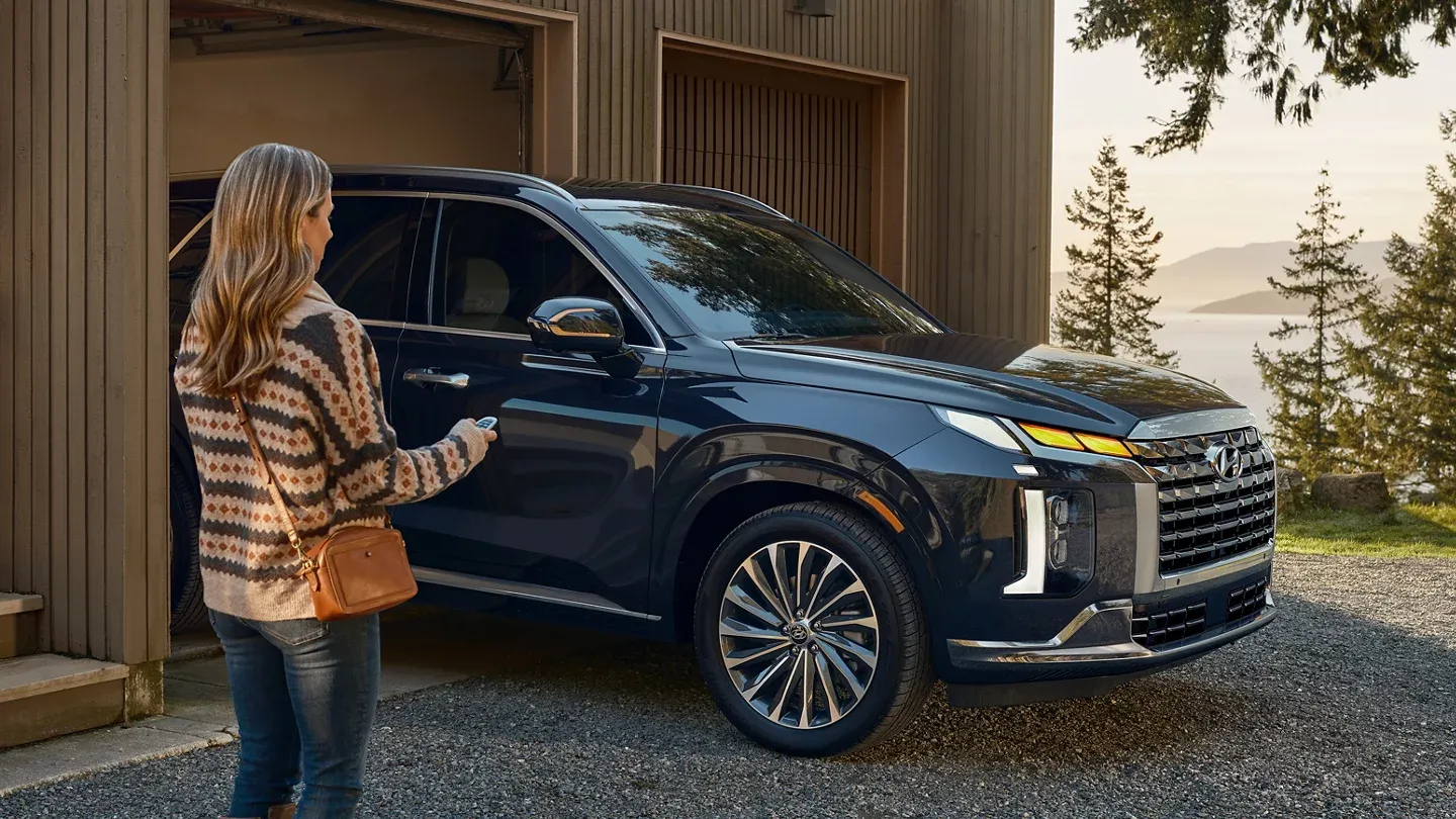 Certified Pre-Owned and Used Palisade Options