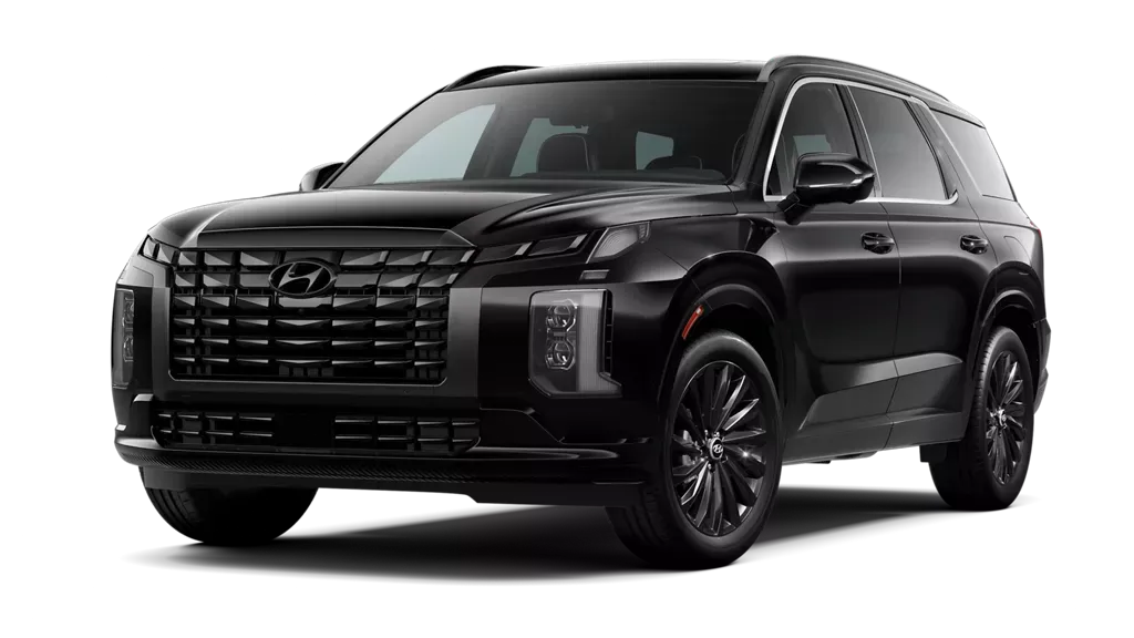 Blacked-Out Design Elements With the Hyundai Palisade Calligraphy Night!