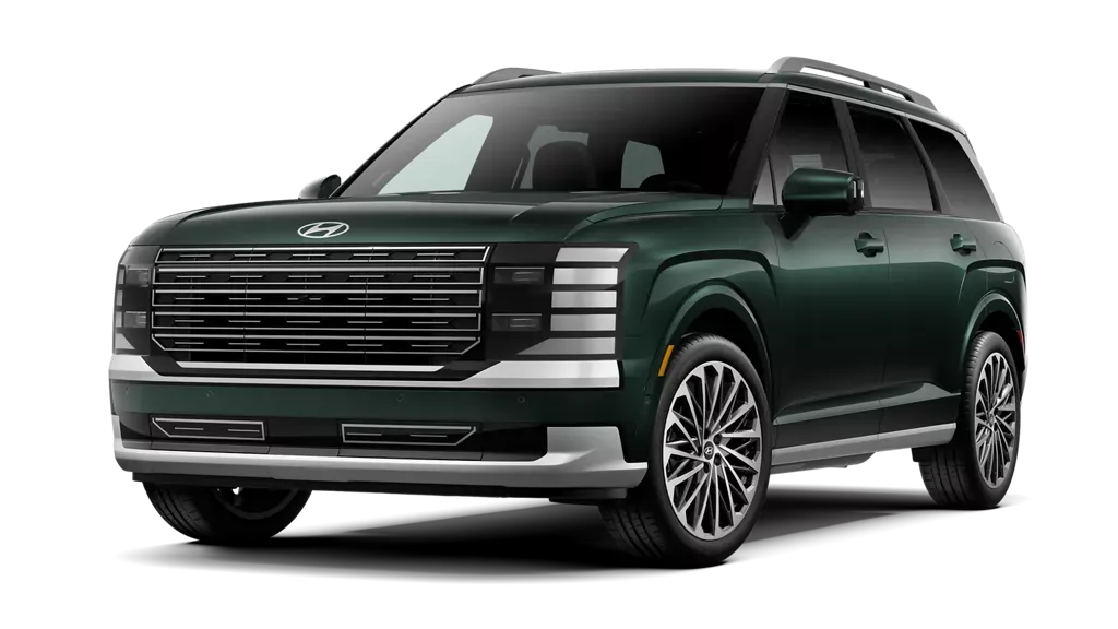 Looking for a luxurious ride for you and your family? Palisade Calligraphy is waiting for you.