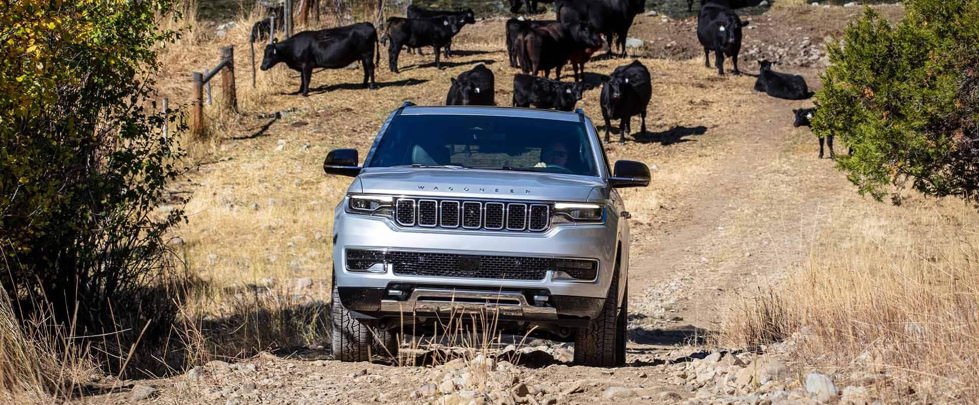A Jeep That's Not Only Comfortable, but Capable