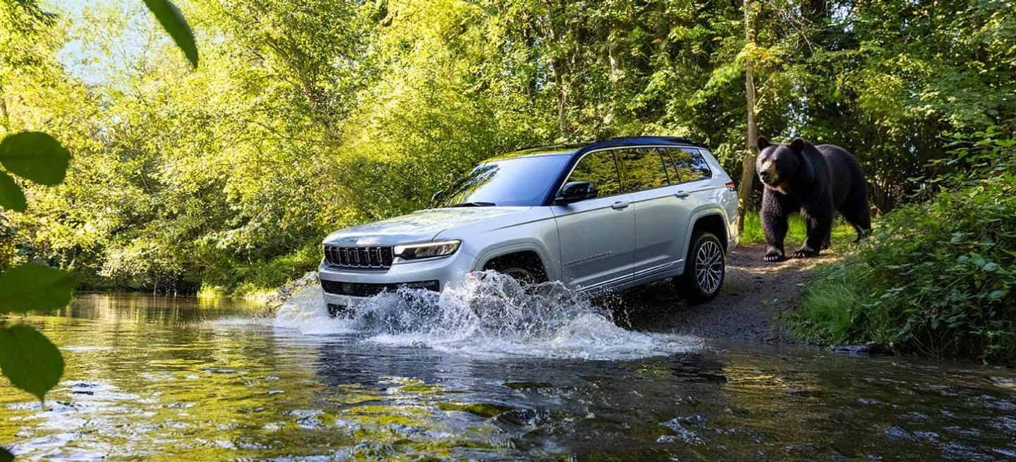 Top Jeep Vehicles for Colorado Adventures