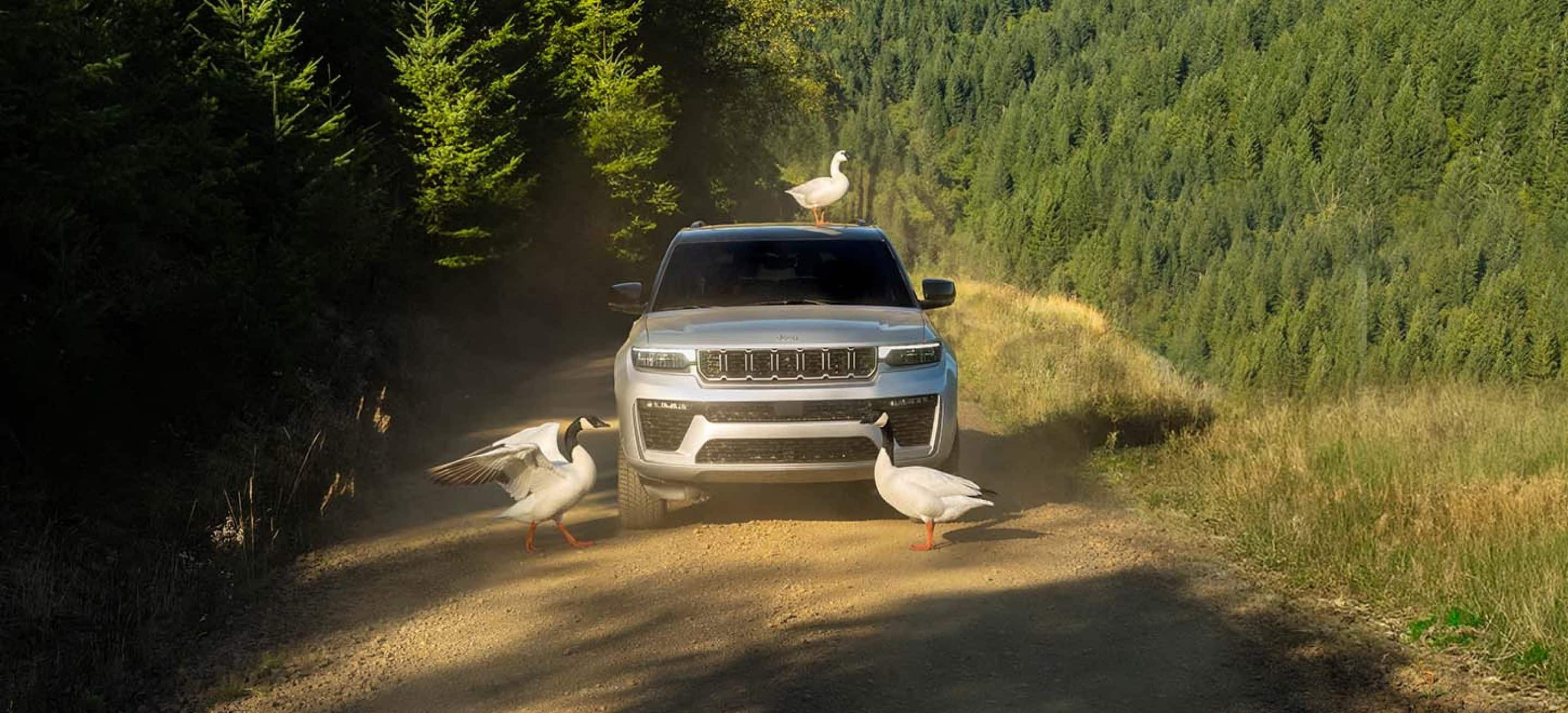 Chrysler Dodge Jeep Ram Rochester Hills MI