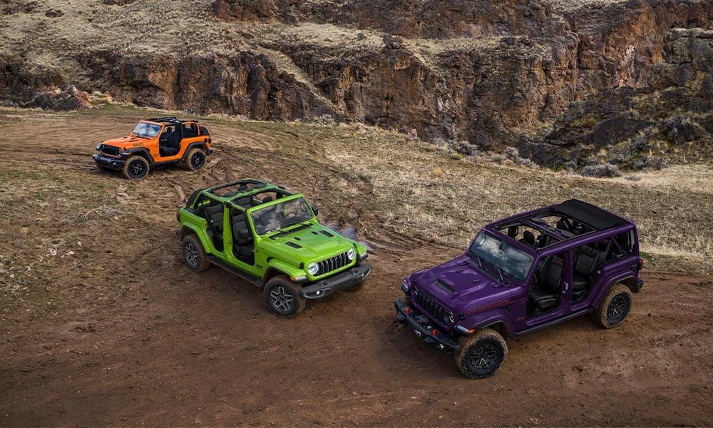What kind of off-roading trail options will I find near New Orleans?