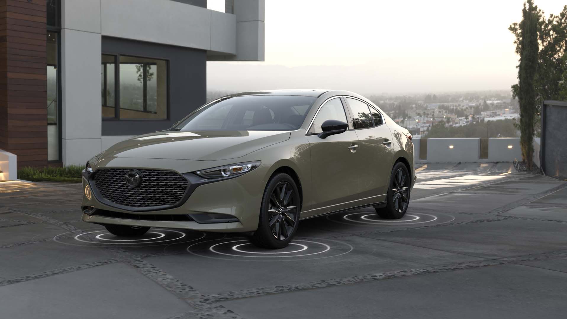 What Can I Get With the Premium Trim?