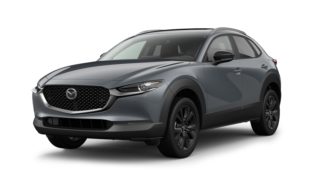 Is the Carbon Edition Worth It?