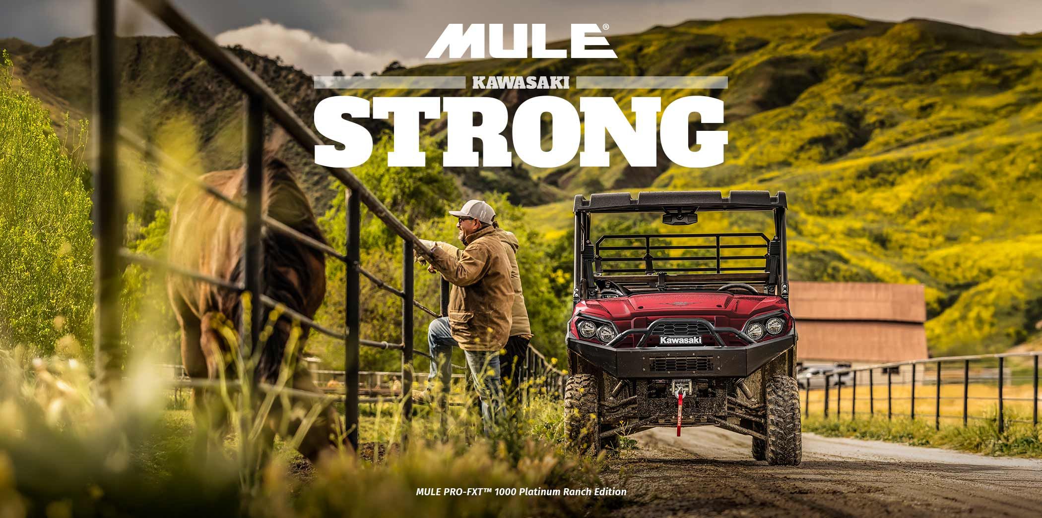 2026 Kawasaki Mule for sale Ft Lauderdale