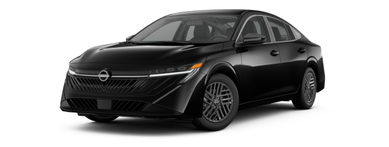 What are the Features og the SV?