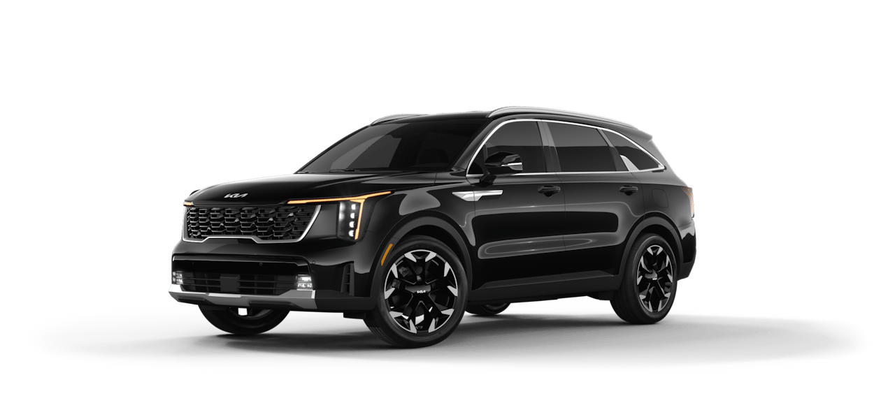 The Kia Sorento EX model has the features you need