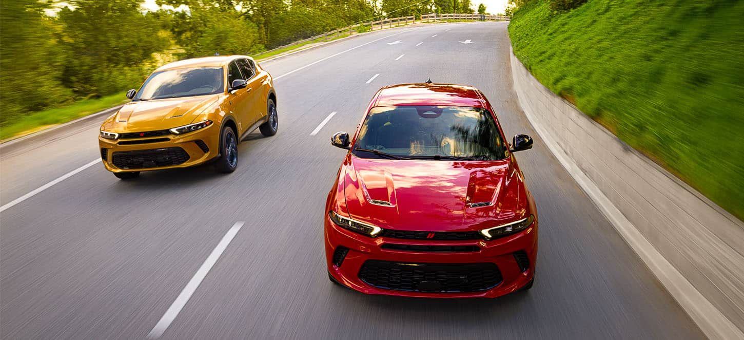 Top Dodge Hornet Accessories