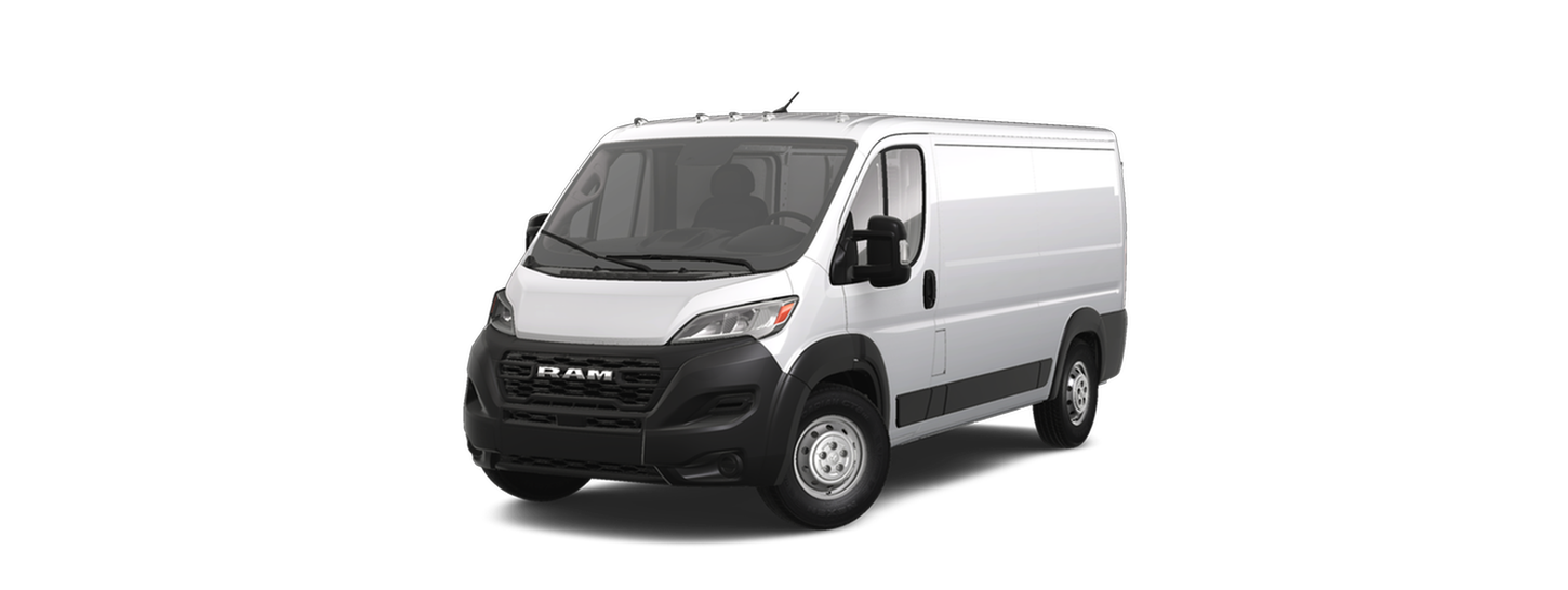 What is the ProMaster Cargo Van?