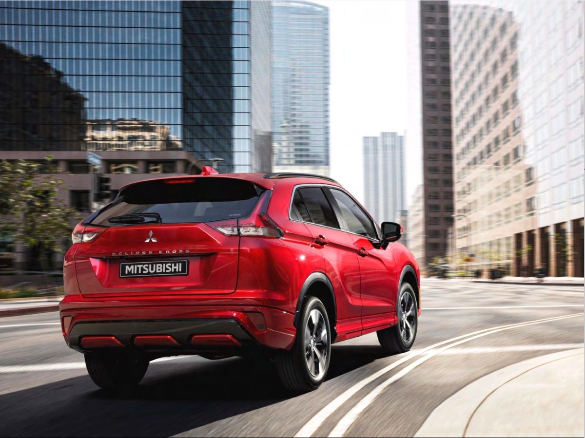 What Is the Mitsubishi VIP Program?
